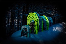 Snow is there; end of year promotion